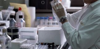 “Un vaccino può eliminare il tumore”, la speranza dal nuovo studio