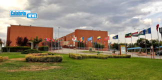 Unical incubatore di talenti: il 93% degli ingegneri gestionali trova lavoro in un anno
