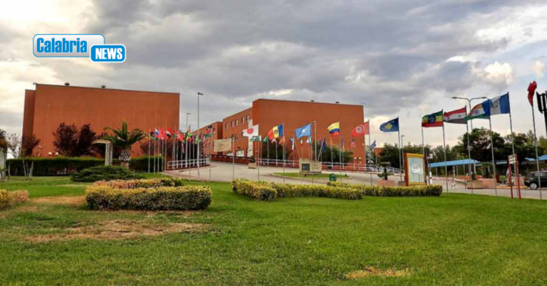 Unical incubatore di talenti: il 93% degli ingegneri gestionali trova lavoro in un anno
