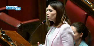 Trasporti, Baldino (M5S): “Busitalia investe 44 milioni ma alla Calabria lascia tagli, coincidenze e isolamento”