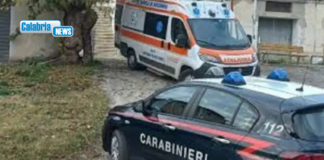 Stage sul lavoro che continua: operaio 53enne schiacciato da un camion-gru nel Vibonese