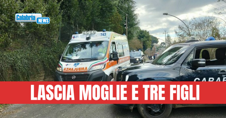 Ancora un morto sul lavoro: nel Vibonese operaio 63enne colpito in testa da un grosso ramo