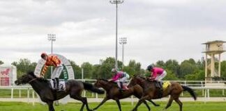 All’Ippodromo Snai San Siro un 2 Giugno di grande sport e intrattenimento