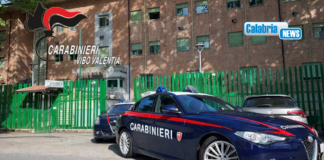 Sentenza condanna per associazione traffico droga diventa definitiva: uomo portato in carcere nel Vibonese