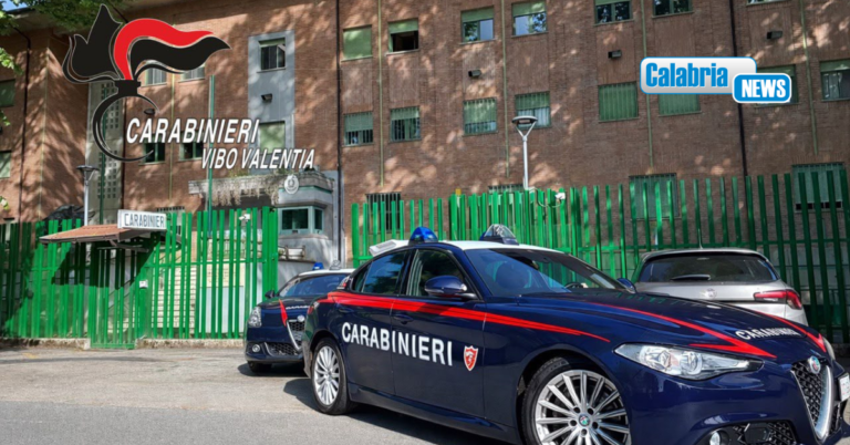 Sentenza condanna per associazione traffico droga diventa definitiva: uomo portato in carcere nel Vibonese
