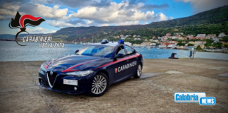 Vibo Marina, identificati e denunciati dai Carabinieri gli autori dell’incendio di tre autovetture