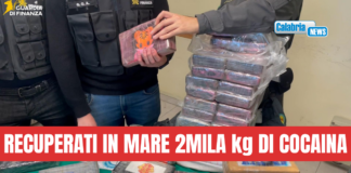 VIDEO-Traffico internazionale di droga: 15 arresti tra Sicilia-Calabria-Toscana-Puglia e Malta