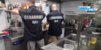 In vista della stagione estiva controlli del NAS di Catanzaro: irregolare il 70% delle attività ispezionate