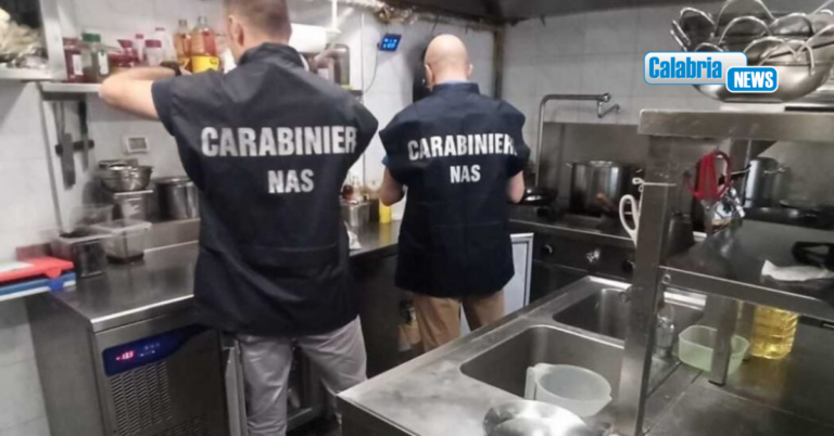 In vista della stagione estiva controlli del NAS di Catanzaro: irregolare il 70% delle attività ispezionate