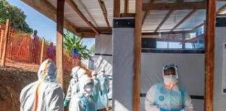 Ebola, Lopalco: “Bene che scatti allarme, con sorveglianza da noi rischio resta basso”