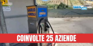 VIDEO-Maxi frode sul gasolio agricolo tra Calabria, Veneto e Germania: sequestrati oltre 8Mln di euro