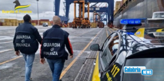 Narcotraffico Sudamerica-Gioia Tauro: la GdiF scova 7 milioni di profitti illeciti nascosti al fisco