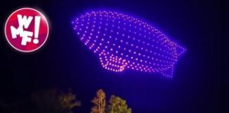 Il 25 giugno a Bologna ‘Awakening of Lights’