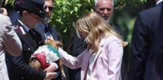 Italia-Corea, Meloni si fa foto con ‘Briciola’: cagnolina mascotte Carabinieri ‘star’ a Villa Pamphlij