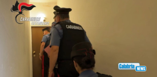VIDEO-Lamezia, blitz “Artemis II”: ‘Ndrangheta in appalti e mense scolastiche, 9 arresti dei Carabinieri