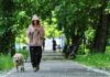 Obbligo di lavare la pipì del cane in strada, Bassetti: “Dal punto di vista scientifico non serve a nulla”