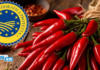 Il Peperoncino di Calabria conquista l’IGP nel registro dell’Unione Europea: soddisfazione per Cia Calabria