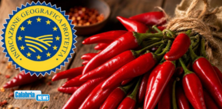 Il Peperoncino di Calabria conquista l’IGP nel registro dell’Unione Europea: soddisfazione per Cia Calabria
