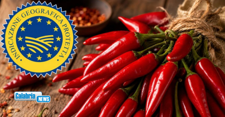 Il Peperoncino di Calabria conquista l’IGP nel registro dell’Unione Europea: soddisfazione per Cia Calabria
