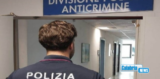 Reggio, 45 misure di prevenzione proposte da Polizia ed irrogate a maggio a soggetti socialmente pericolosi
