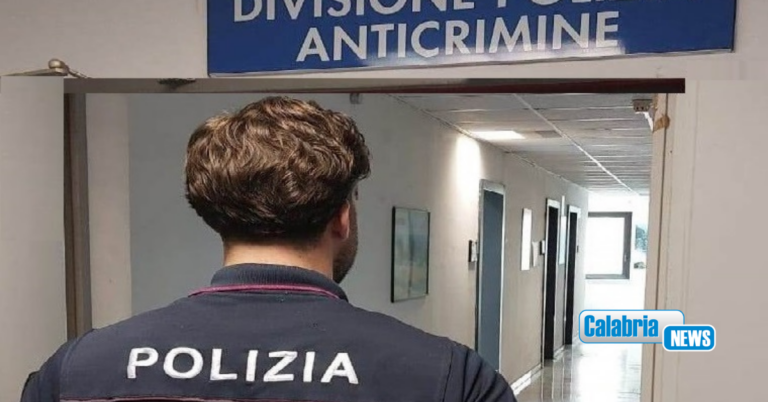Reggio, 45 misure di prevenzione proposte da Polizia ed irrogate a maggio a soggetti socialmente pericolosi