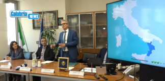 Report Bankitalia, nel 2025 il Pil della Calabria in aumento dell’1,1%