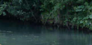 Rieti, ragazzo di 15 anni si tuffa nel fiume Velino e annega: recuperato il corpo