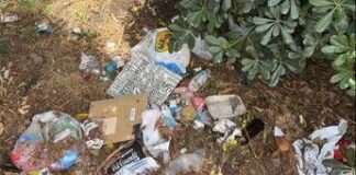 Roma, aiuole e marciapiedi nel degrado intorno alla Nuvola: all’Eur cittadini costretti a camminare fra le auto