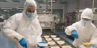 Serenissima Ristorazione, ok a bilancio consolidato: in 2025 fatturato oltre 620 mln (+6%)