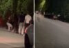 Taormina, auto a tutta velocità su giovani fuori da una discoteca – Il video