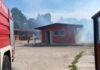 Treviso, incendio all’ippodromo Sant’Artemio: sei cavalli muoiono tra le fiamme