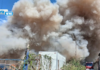 Vasto incendio a Vibo Valentia: scatta catena di solidarietà per salvare i cani di un rifugio vicino