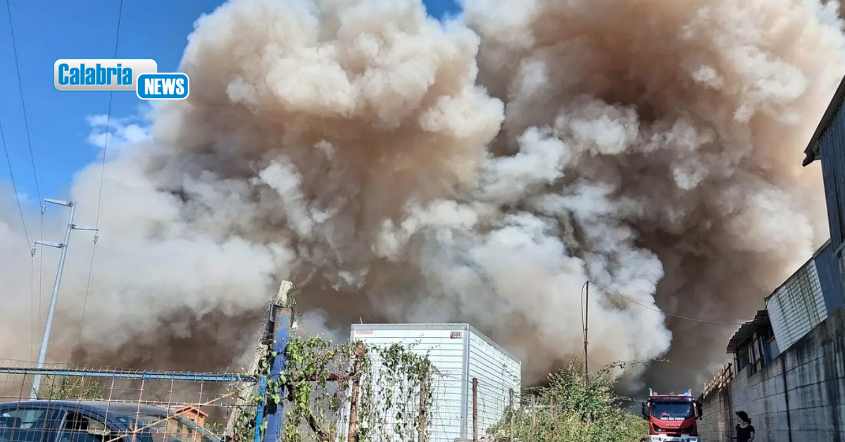 Vasto incendio a Vibo Valentia: scatta catena di solidarietà per salvare i cani di un rifugio vicino