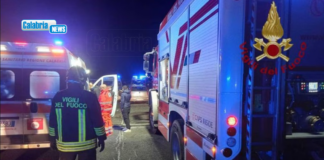 Grave incidente stradale sulla SS 107 a Caccuri: auto contro cavalli, muore una donna, tre feriti