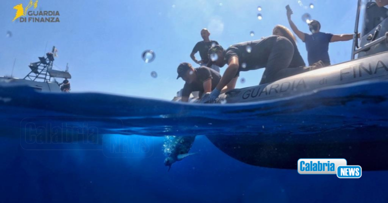 Dopo la riabilitazione tornano in mare nel Vibonese le tartarughe Caretta-Caretta “Franca” e “Antonella”
