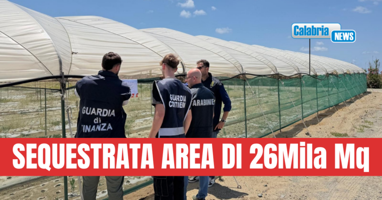 Lamezia, spiaggia occupata per coltivare cipolle: Intervento del Gruppo interforze tutela ambiantale