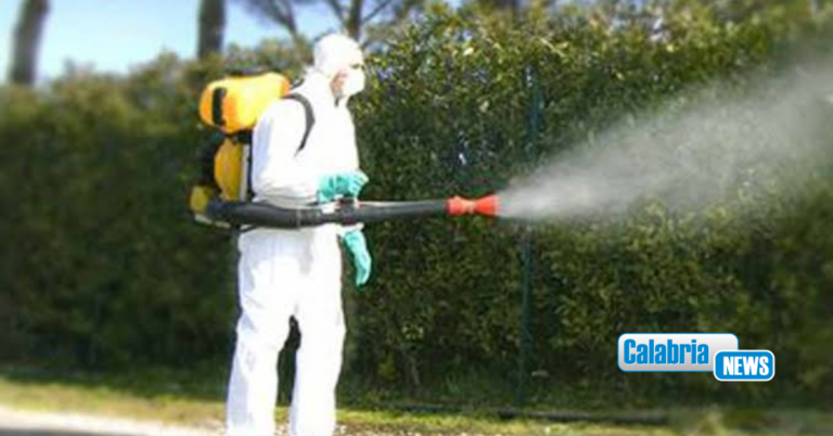 Virus “West Nile”, Comune Catanzaro rassicura: gli interventi specifici di disinfestazione sono già in corso