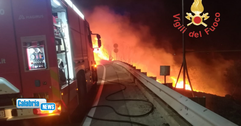 Prosegue l’ondata di caldo: In Calabria oltre 200 interventi dei Vigili del Fuoco per incendi di vegetazione