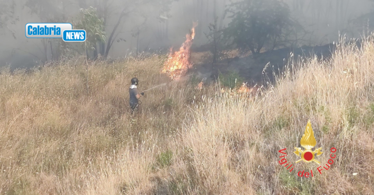 VIDEO-Vasto incendio di vegetazione a Sant’Eufemia Lamezia: fiamme minacciano abitazioni e rete ferroviaria