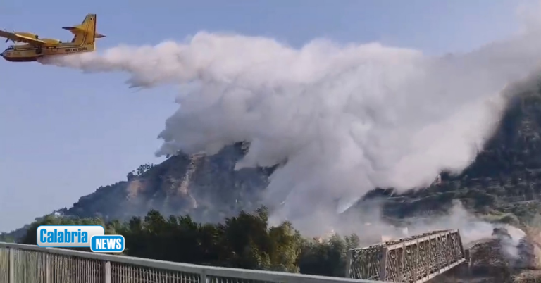 VIDEO-Caldo, vento e incendi: Vigili del Fuoco impegnati senza sosta a Copanello e Catanzaro Lido