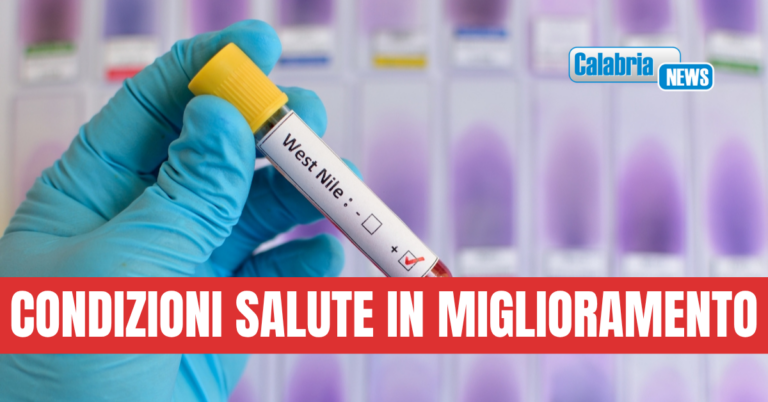 Caso di West Nile nel Catanzarese, una giovane donna ricoverata con febbre in ospedale
