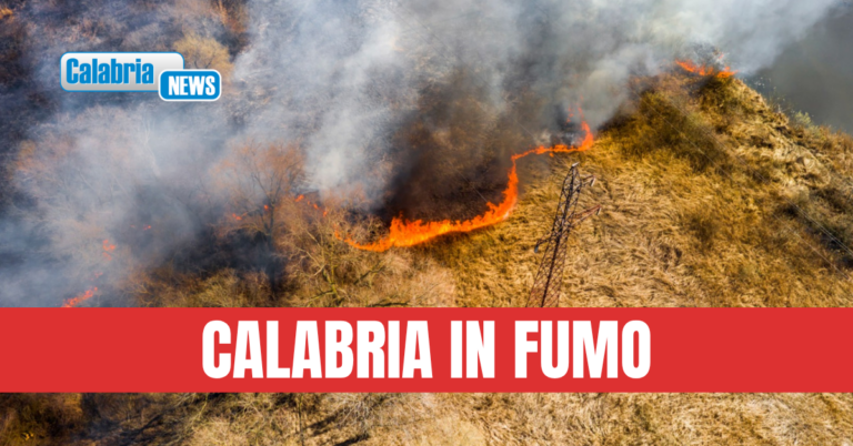Legambiente Calabria: Non emergenza ma crisi strutturale. Servono prevenzione e strategia per i boschi