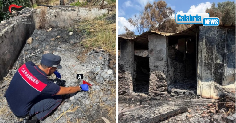 Provoca incendio a Bonifati che distrugge 10 ettari di vegetazione: denunciato