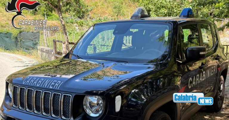 Campo Calabro, controlli dei Carabinieri sulla rete idrica: accertati due allacci abusivi