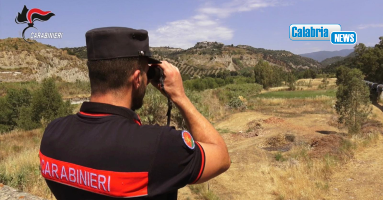 Prevenzione e contrasto incendi: buona sinergia tra Carabinieri e cittadini nel Catanzarese