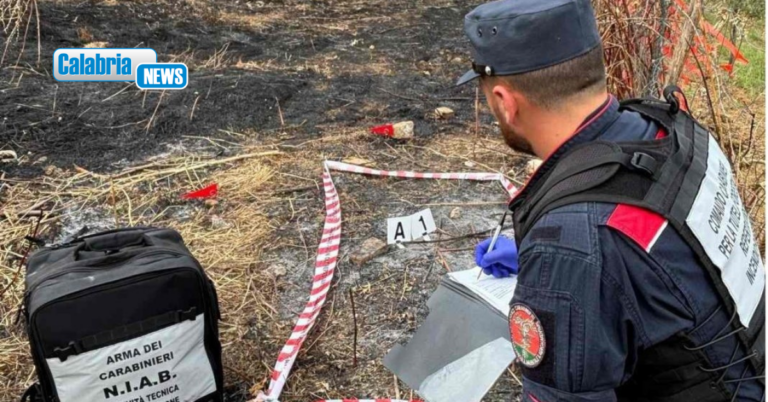 Appicca il fuoco nei pressi di un bosco a Morano Calabro, 56enne identificato e arrestato