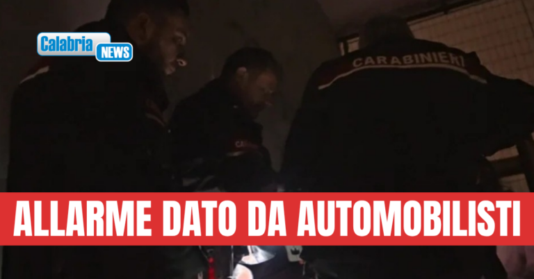 Donna tenta suicidio da viadotto sulla SS 106 nel Catanzarese: provvidenziale intervento dei Carabinieri