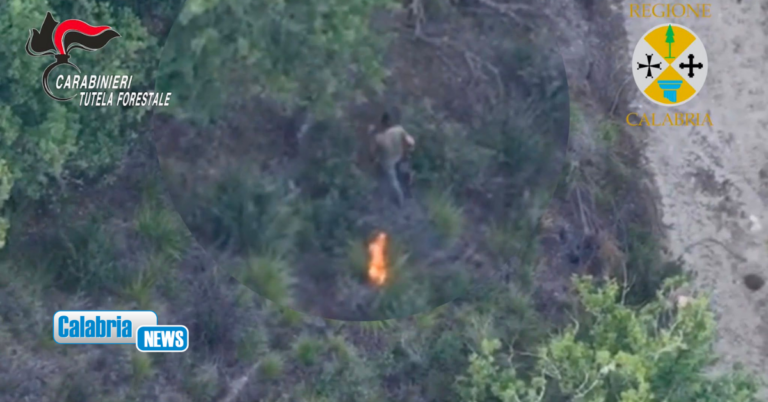 VIDEO-Appicca incendio boschivo nel Vibonese: ecco l’arresto in diretta di un allevatore cinquantenne