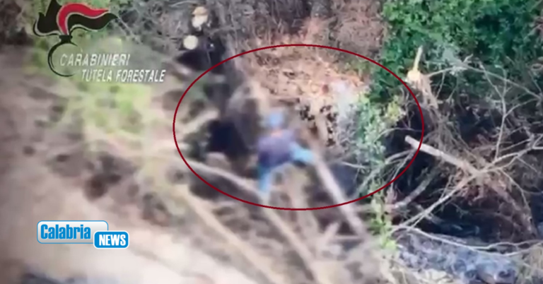 VIDEO-Ripreso dal drone mentre appicca incendio boschivo, 49enne arrestato nel Vibonese