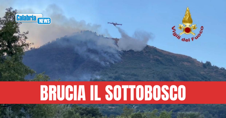 Incendio in area cosentina Parco Pollino prosegue da 10 giorni: ‘costretti dal fumo a vivere con finestre chiuse’